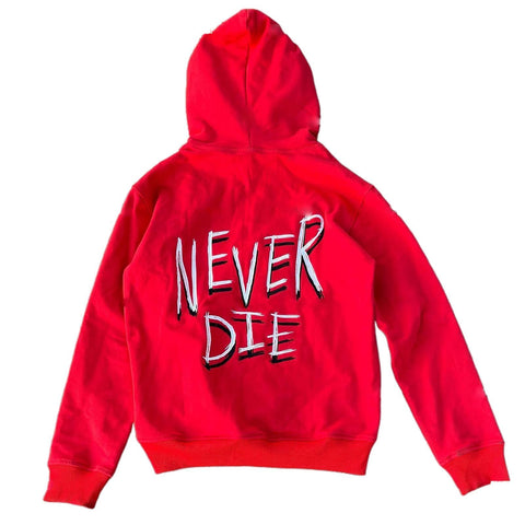 ZENMANCHEN Y2k Hoodies Puff Print Hoodie Grunge Graphic Zip Up Hoodies Y2k Jacket Hip Hop Streetwear Aesthetic Sweatshirts (US, Alpha, Large, Regular, Regular, 1-black)